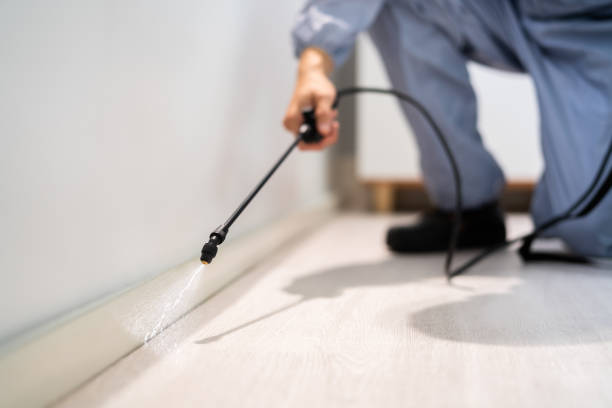 Licensed Pest Control service in Newberry, FL - Show Me Pest Control