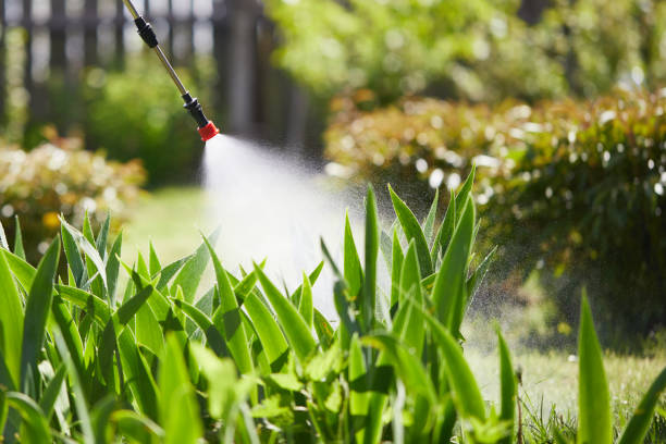 24/7 Emergency Mosquito Control experts in Newberry, FL